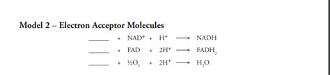 electron acceptor molecules.